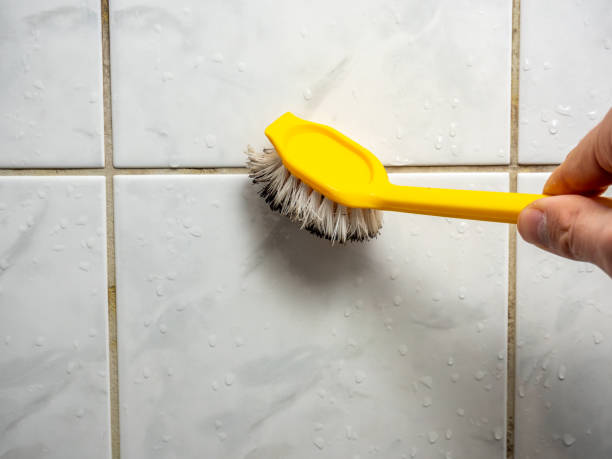 Best Emergency Mold Removal  in Stem, NC
