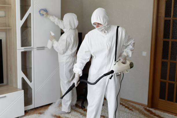 Certified Mold Removal in Stem, NC