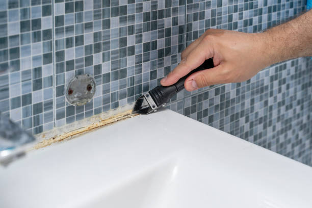 Best Same-Day Mold Removal  in Stem, NC